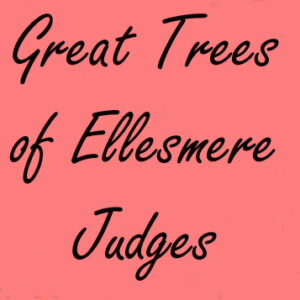 Gtoe pink Box Judges